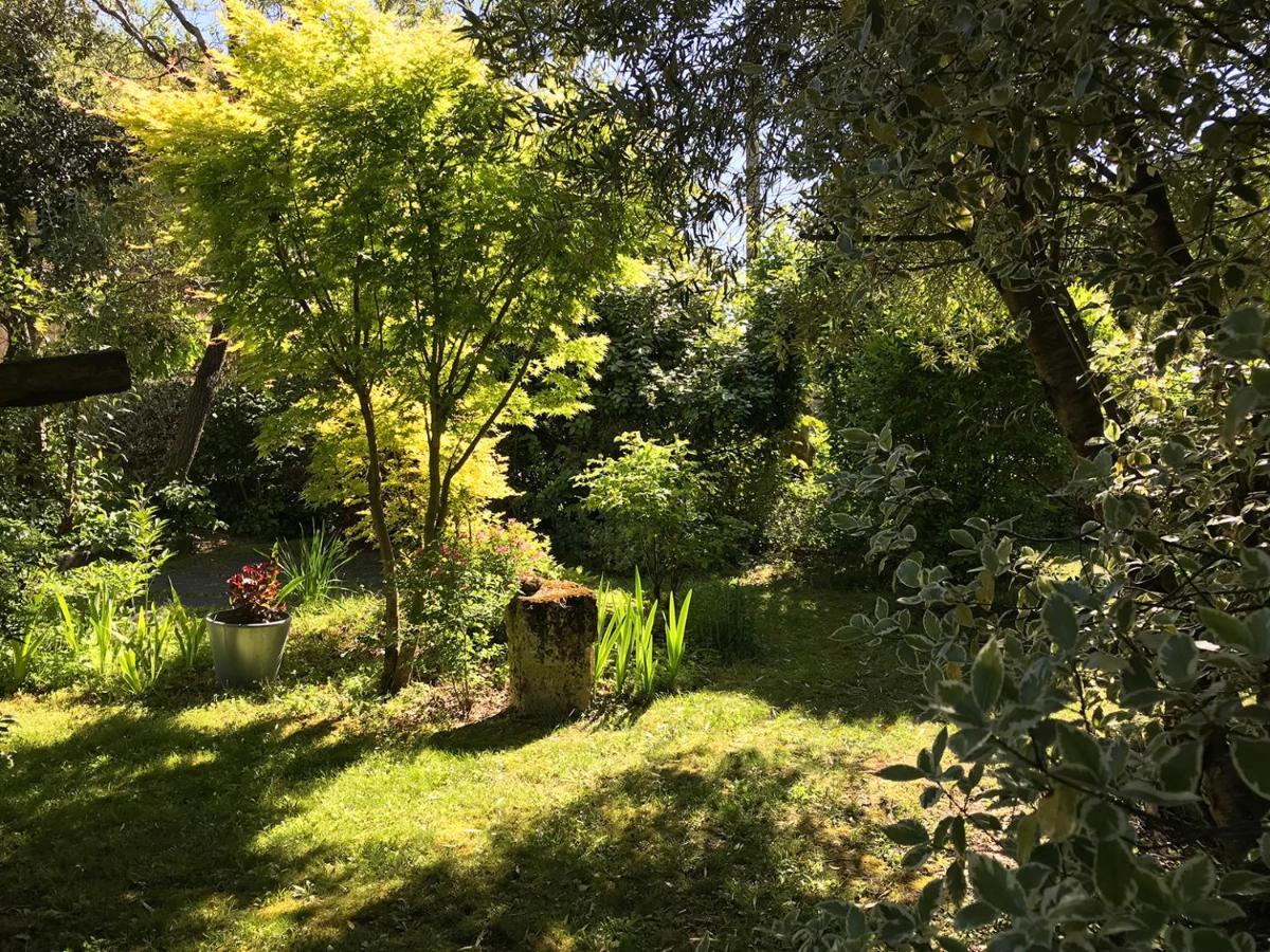 Le Pain De Lune Gite Et Chambre D'Hotes Avec Piscine Bourg-sur-Gironde Exteriör bild