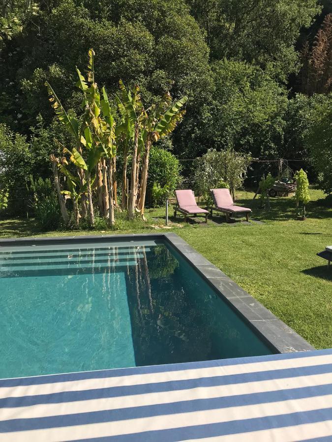 Le Pain De Lune Gite Et Chambre D'Hotes Avec Piscine Bourg-sur-Gironde Exteriör bild